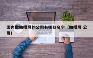 國內做觸摸屏的公司有哪些名字（觸摸屏 公司）