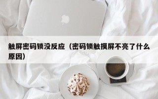 觸屏密碼鎖沒反應（密碼鎖觸摸屏不亮了什么原因）