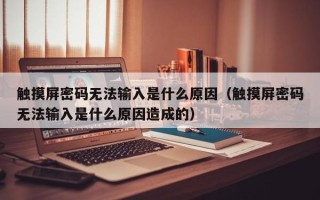 觸摸屏密碼無法輸入是什么原因（觸摸屏密碼無法輸入是什么原因造成的）