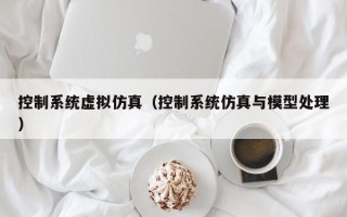 控制系統虛擬仿真（控制系統仿真與模型處理）