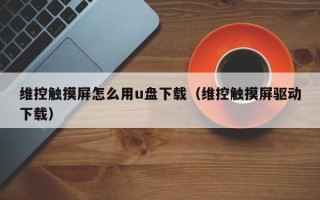 維控觸摸屏怎么用u盤下載（維控觸摸屏驅動下載）