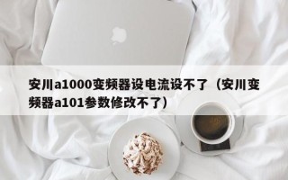 安川a1000變頻器設電流設不了（安川變頻器a101參數(shù)修改不了）