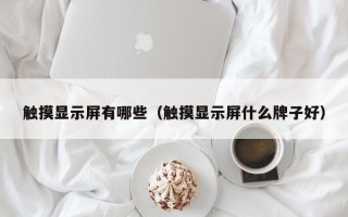 觸摸顯示屏有哪些（觸摸顯示屏什么牌子好）