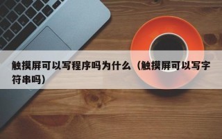 觸摸屏可以寫程序嗎為什么（觸摸屏可以寫字符串嗎）