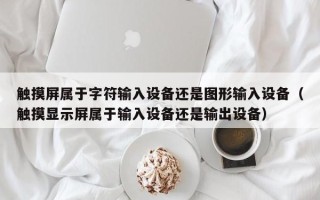 觸摸屏屬于字符輸入設備還是圖形輸入設備（觸摸顯示屏屬于輸入設備還是輸出設備）