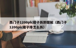 西門子1200plc端子拆卸圖解（西門子1200plc端子排怎么拆）