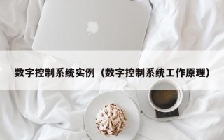 數字控制系統實例（數字控制系統工作原理）