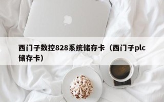 西門子數(shù)控828系統(tǒng)儲存卡（西門子plc儲存卡）