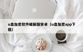 u盤(pán)加密軟件破解版安卓（u盤(pán)加密app下載）