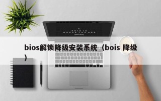 bios解鎖降級安裝系統（bois 降級）