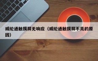 威綸通觸摸屏無響應（威綸通觸摸屏不亮的原因）