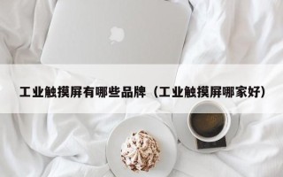 工業觸摸屏有哪些品牌（工業觸摸屏哪家好）
