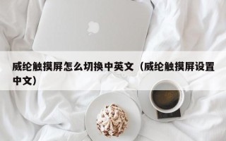 威綸觸摸屏怎么切換中英文（威綸觸摸屏設(shè)置中文）