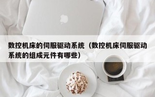 數控機床的伺服驅動系統（數控機床伺服驅動系統的組成元件有哪些）