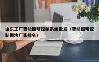 山東工廠智能照明控制系統批發（智能照明控制模塊廠家排名）