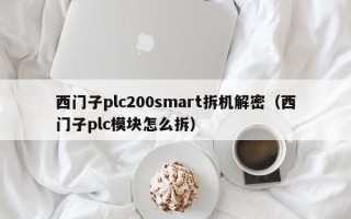 西門子plc200smart拆機(jī)解密（西門子plc模塊怎么拆）