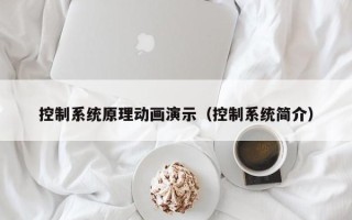 控制系統(tǒng)原理動(dòng)畫演示（控制系統(tǒng)簡介）