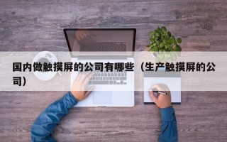 國內(nèi)做觸摸屏的公司有哪些（生產(chǎn)觸摸屏的公司）