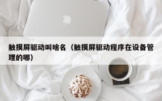 觸摸屏驅動叫啥名（觸摸屏驅動程序在設備管理的哪）
