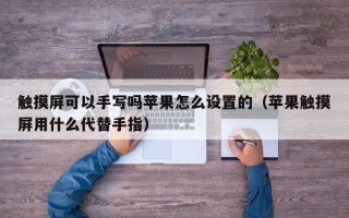 觸摸屏可以手寫嗎蘋果怎么設置的（蘋果觸摸屏用什么代替手指）