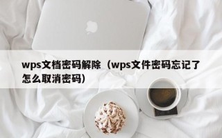 wps文檔密碼解除（wps文件密碼忘記了怎么取消密碼）