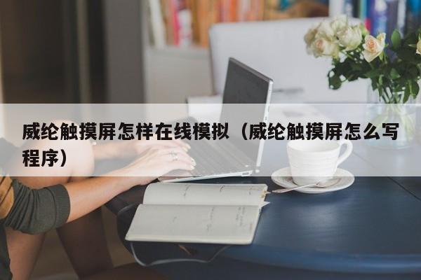 威綸觸摸屏怎樣在線模擬（威綸觸摸屏怎么寫程序）-第1張圖片-晉江速捷自動化科技有限公司