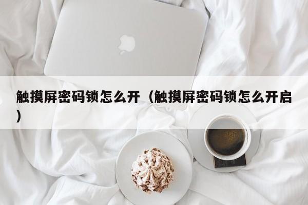 觸摸屏密碼鎖怎么開（觸摸屏密碼鎖怎么開啟）-第1張圖片-晉江速捷自動化科技有限公司