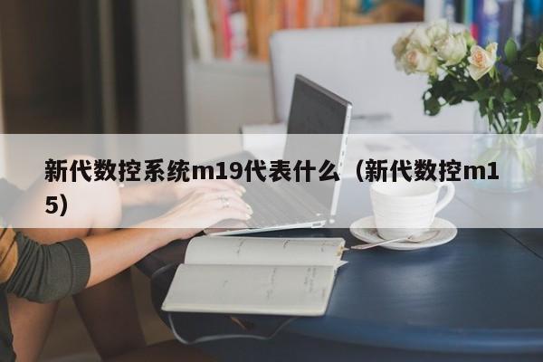 新代數控系統m19代表什么（新代數控m15）-第1張圖片-晉江速捷自動化科技有限公司
