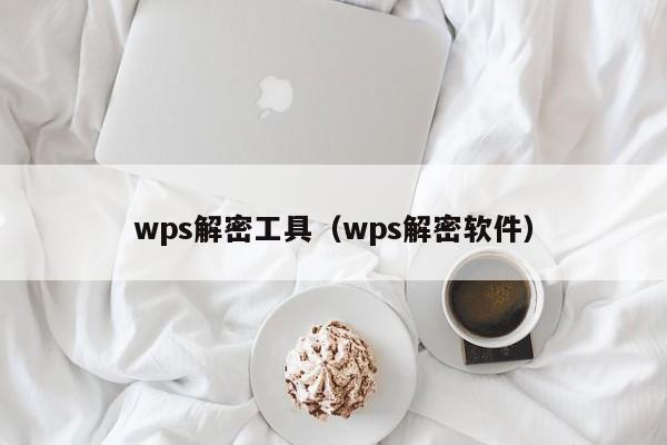 wps解密工具（wps解密軟件）-第1張圖片-晉江速捷自動化科技有限公司