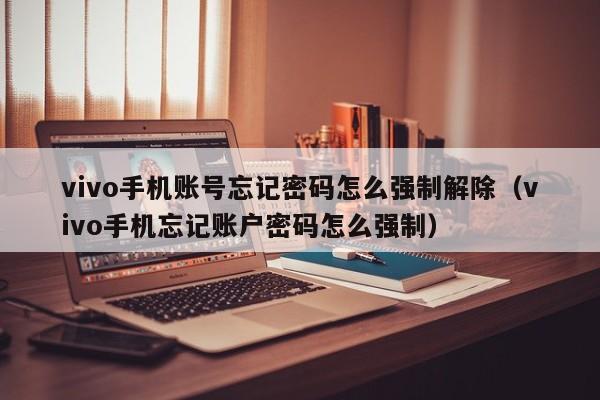 vivo手機賬號忘記密碼怎么強制解除（vivo手機忘記賬戶密碼怎么強制）-第1張圖片-晉江速捷自動化科技有限公司