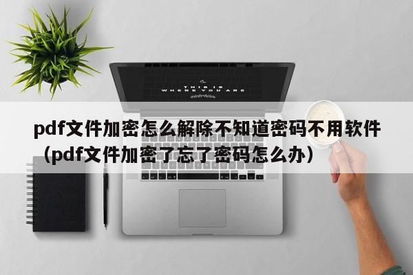 pdf文件加密怎么解除不知道密碼不用軟件（pdf文件加密了忘了密碼怎么辦）-第1張圖片-晉江速捷自動(dòng)化科技有限公司