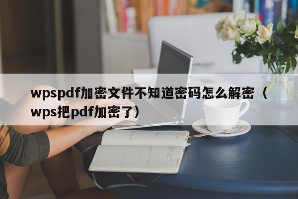 wpspdf加密文件不知道密碼怎么解密（wps把pdf加密了）-第1張圖片-晉江速捷自動化科技有限公司