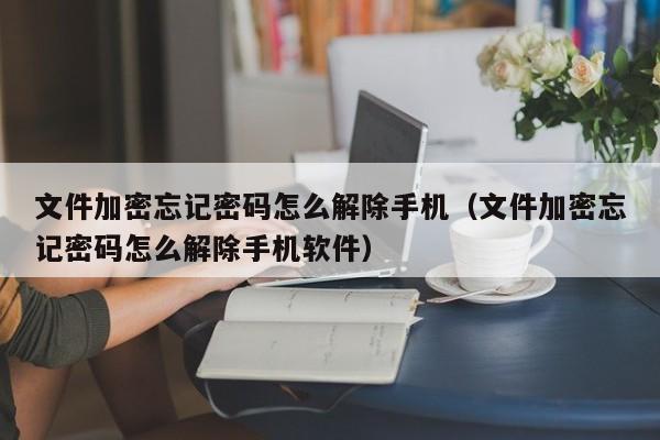 文件加密忘記密碼怎么解除手機（文件加密忘記密碼怎么解除手機軟件）-第1張圖片-晉江速捷自動化科技有限公司