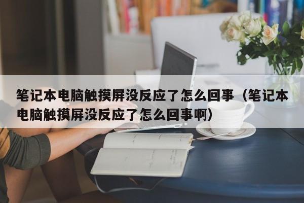筆記本電腦觸摸屏沒反應了怎么回事（筆記本電腦觸摸屏沒反應了怎么回事啊）-第1張圖片-晉江速捷自動化科技有限公司