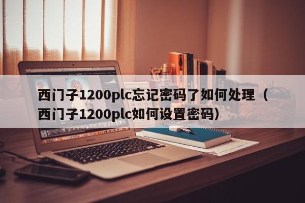 西門子1200plc忘記密碼了如何處理（西門子1200plc如何設置密碼）-第1張圖片-晉江速捷自動化科技有限公司