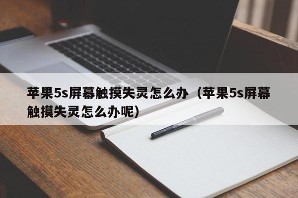 蘋果5s屏幕觸摸失靈怎么辦（蘋果5s屏幕觸摸失靈怎么辦呢）-第1張圖片-晉江速捷自動化科技有限公司