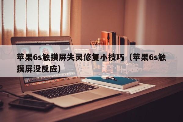 蘋(píng)果6s觸摸屏失靈修復(fù)小技巧（蘋(píng)果6s觸摸屏沒(méi)反應(yīng)）-第1張圖片-晉江速捷自動(dòng)化科技有限公司