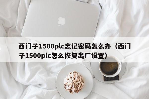 西門子1500plc忘記密碼怎么辦（西門子1500plc怎么恢復出廠設置）-第1張圖片-晉江速捷自動化科技有限公司