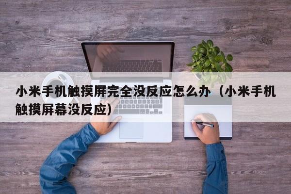 小米手機觸摸屏完全沒反應怎么辦（小米手機觸摸屏幕沒反應）-第1張圖片-晉江速捷自動化科技有限公司