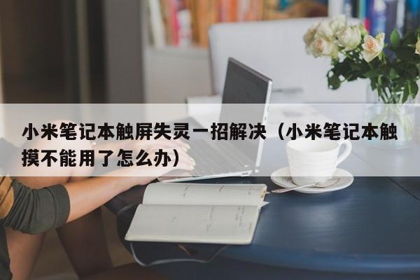 小米筆記本觸屏失靈一招解決（小米筆記本觸摸不能用了怎么辦）-第1張圖片-晉江速捷自動(dòng)化科技有限公司