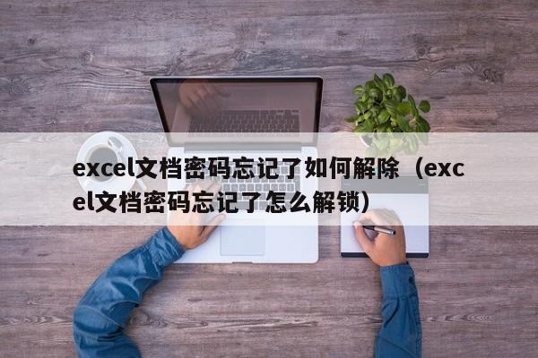 excel文檔密碼忘記了如何解除（excel文檔密碼忘記了怎么解鎖）-第1張圖片-晉江速捷自動(dòng)化科技有限公司