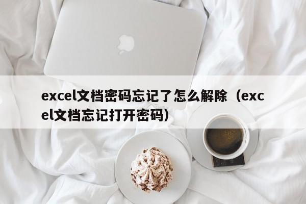 excel文檔密碼忘記了怎么解除（excel文檔忘記打開密碼）-第1張圖片-晉江速捷自動化科技有限公司