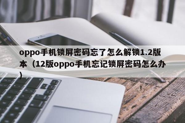 oppo手機鎖屏密碼忘了怎么解鎖1.2版本（12版oppo手機忘記鎖屏密碼怎么辦）-第1張圖片-晉江速捷自動化科技有限公司