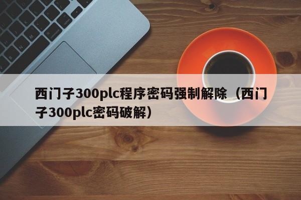 西門子300plc程序密碼強制解除（西門子300plc密碼破解）-第1張圖片-晉江速捷自動化科技有限公司