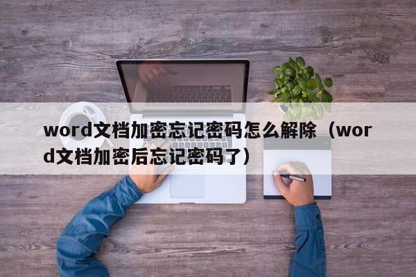word文檔加密忘記密碼怎么解除（word文檔加密后忘記密碼了）-第1張圖片-晉江速捷自動化科技有限公司