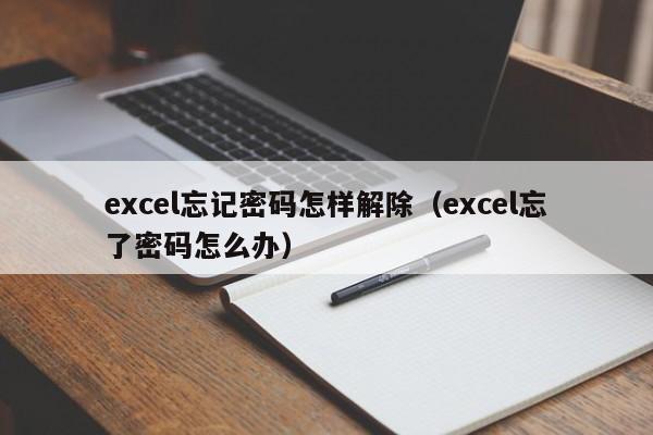 excel忘記密碼怎樣解除（excel忘了密碼怎么辦）-第1張圖片-晉江速捷自動化科技有限公司