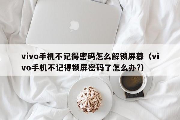 vivo手機不記得密碼怎么解鎖屏幕（vivo手機不記得鎖屏密碼了怎么辦?）-第1張圖片-晉江速捷自動化科技有限公司