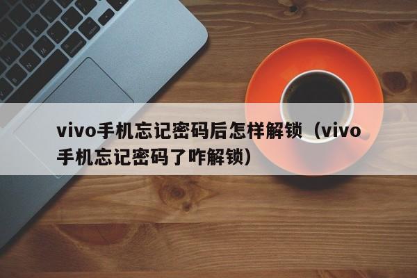 vivo手機忘記密碼后怎樣解鎖（vivo手機忘記密碼了咋解鎖）-第1張圖片-晉江速捷自動化科技有限公司