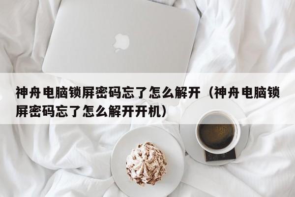 神舟電腦鎖屏密碼忘了怎么解開（神舟電腦鎖屏密碼忘了怎么解開開機）-第1張圖片-晉江速捷自動化科技有限公司