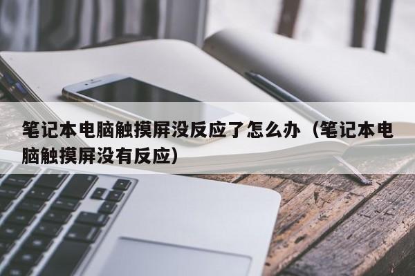 筆記本電腦觸摸屏沒反應了怎么辦（筆記本電腦觸摸屏沒有反應）-第1張圖片-晉江速捷自動化科技有限公司
